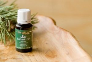 IBF Idaho balsam fir only