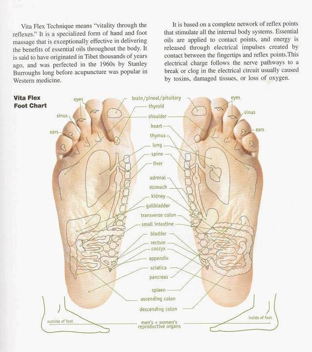 Essential Oil Foot Chart