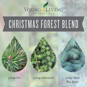 The Essentials Christmas diffuser blend